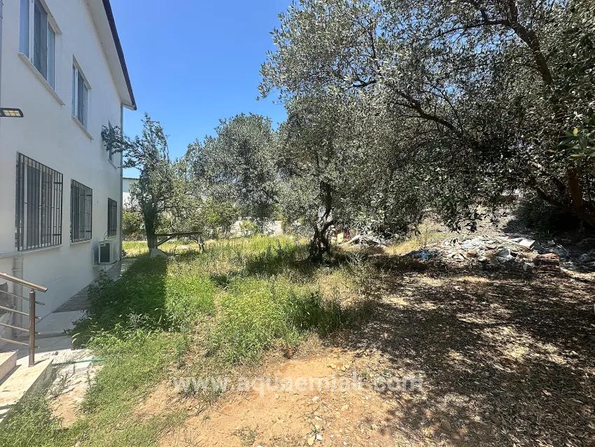 Köyceğiz Zeytinalanı Mah. sind Mietgartenwohnung Im Erdgeschoss