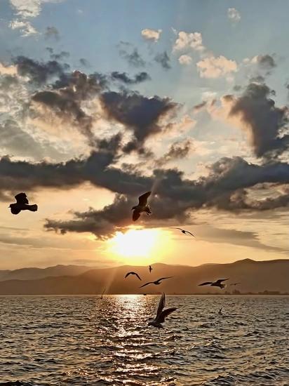 Warum Köyceğiz?