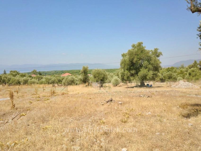 930M2 Shared Land For Sale In Zeytinalani With Lake View