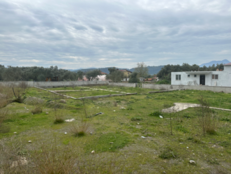 Zoned Land For Sale In Köyceğiz Zeytinalan Neighborhood