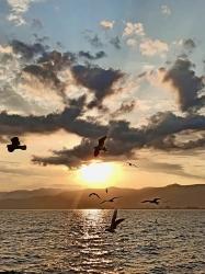 О Кейджегизе