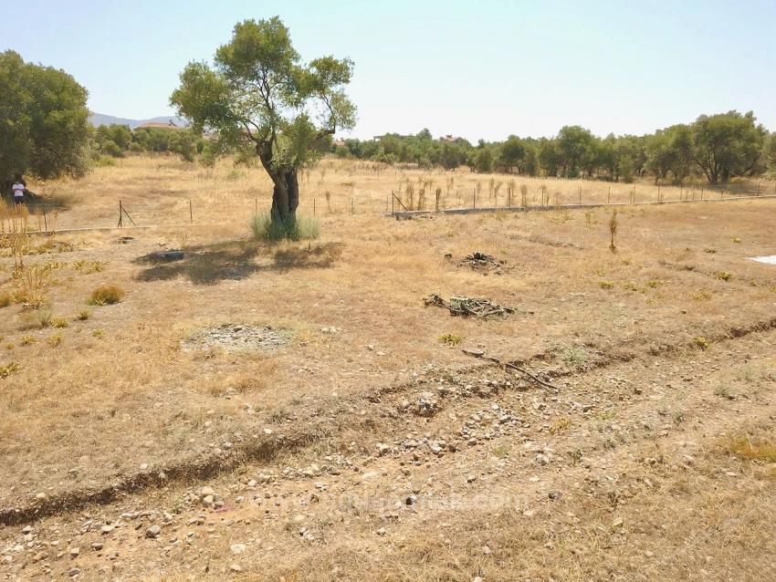 Zeytinalanında Göl Manzaralı 930M2 Hisseli Satılık Arazi