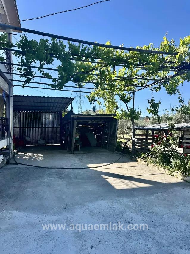 Köyceğiz Zeytinalanı Mah. Kiralık 3+1 Daire - 130 m²