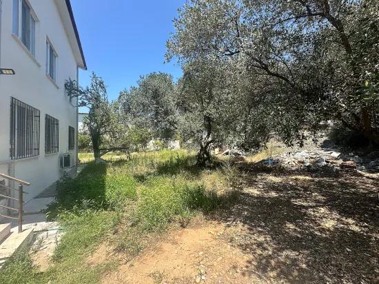 Köyceğiz Zeytinalanı Mah. Kiralık Bahçe Katı Daire