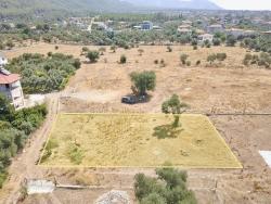 Zeytinalanında Göl Manzaralı 930M2 Hisseli Satılık Arazi