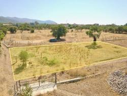 Zeytinalanında Göl Manzaralı 930M2 Hisseli Satılık Arazi